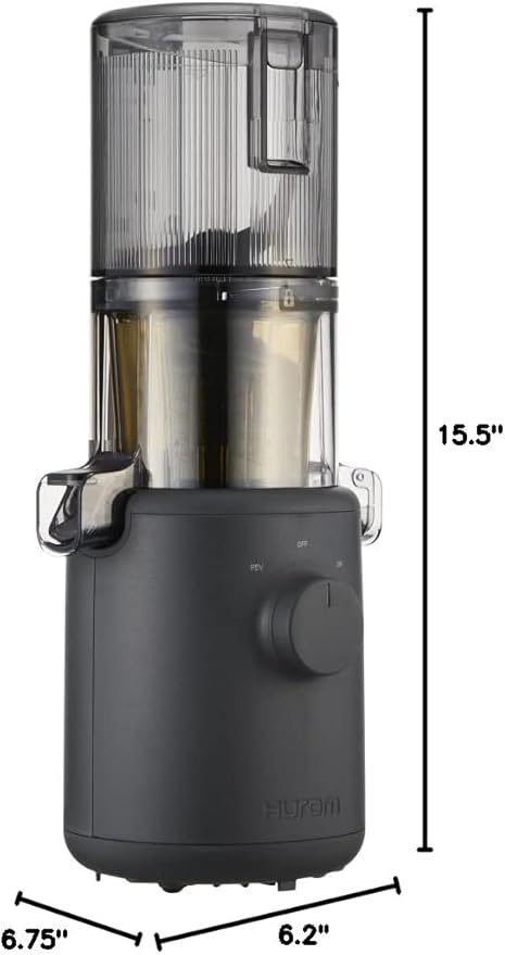 Hurom H310A Personal Self Feeding Slow Masticating Juicer (Matte Black)