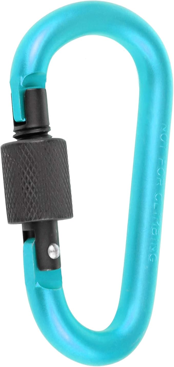 10 Pack Aluminum D Ring Key Rings Hiking Clips Locking Carabiner for Hiking Camping Fishing and Outdoor Use,Clips with Screw Gate Multicolored