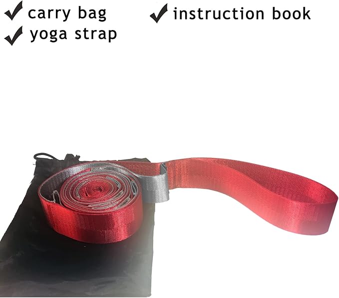 SANKUU Yoga Straps Stretching Strap with 12 Loops Workout Poster, Straps for Stretching Physical Therapy Equipment Long Stretch Out Bands for Exercise, Pilates and Gymnastics for Women Men