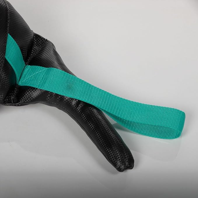 Titan Fitness 20 LB Functional Training Swing Bag, PU Material Bulgarian Power Sand Bag, Multiple Grips for Squats, Lunges, Throws, and More