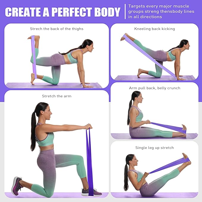 Resistance Bands, Exercise Bands, Physical Therapy Bands for Strength Training, Yoga, Pilates, Stretch Elastic Band with Different Strengths, Workout Bands for Home Gym