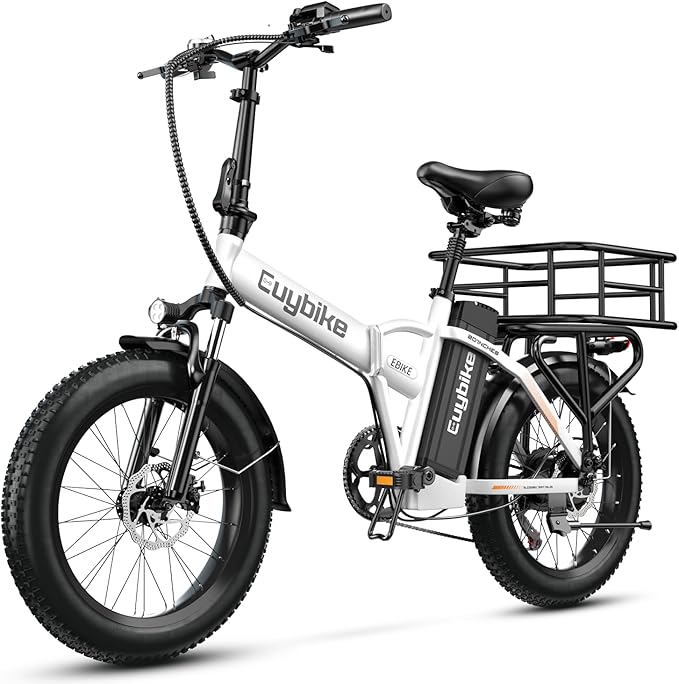 1000W Folding Electric Bike, 48V 20AH Large Removable Battery E Bike, 30+MPH, 80 Miles Max Range, 20" Fat Tire Electric Bike for Adults, Adult Electric Bicycles for Commute Beach Snow