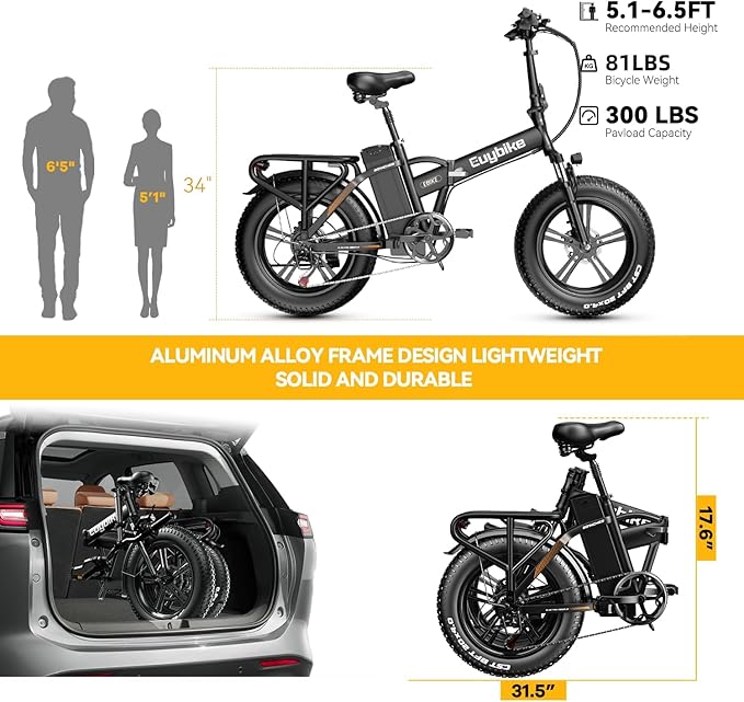 1000W Folding Electric Bike, 48V 20AH Large Removable Battery E Bike,30+MPH, 80 Miles Max Range, 20" Fat TireElectric Bike for Adults, Adult Electric Bicycles for CommuteBeach Snow