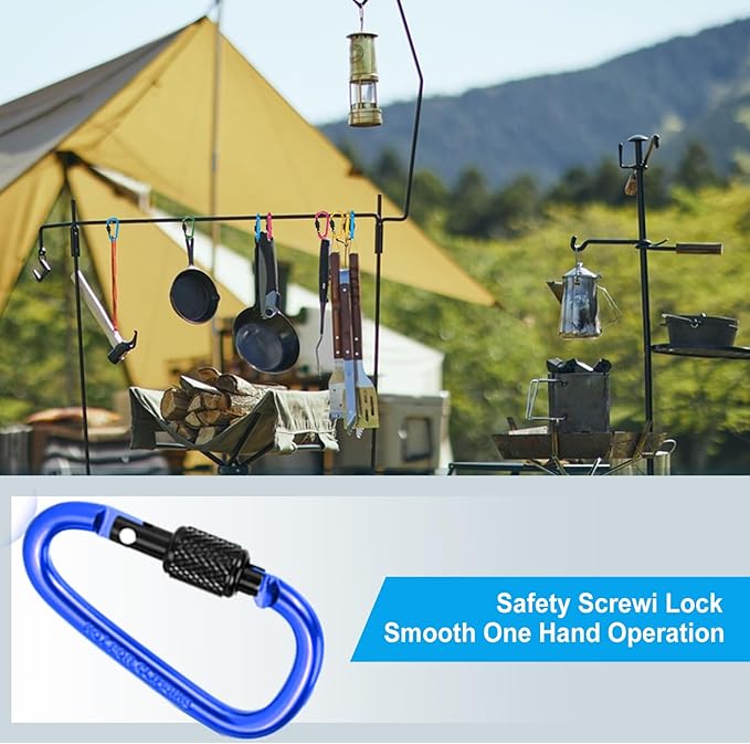 10 Pack Aluminum D Ring Key Rings Hiking Clips Locking Carabiner for Hiking Camping Fishing and Outdoor Use,Clips with Screw Gate Multicolored