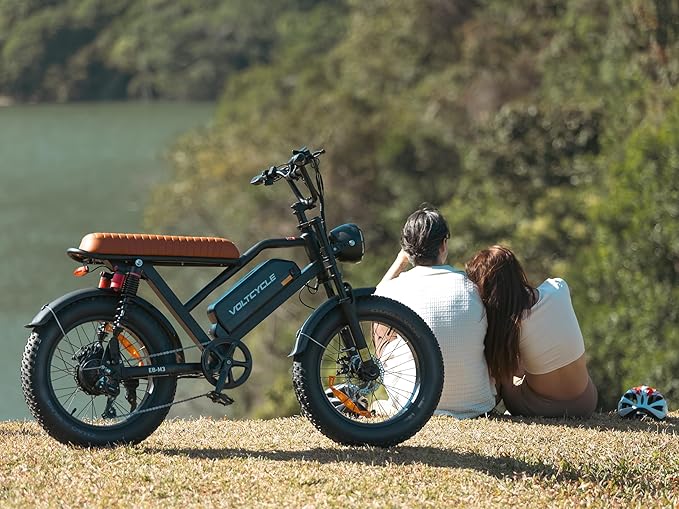 Electric Bicycle for Adults - 20”x 4”Fat Tire, Peak 1000W Motor, 7 Speed Electric Motorcycle Bicycle, 48V/18.2AH Detachable Battery Long Seat Electric Bike,Up to 28MPH/30-60Miles Electric Dirt Bike