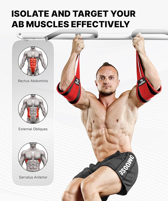 DMoose Fitness Hanging Ab Straps for Pull Up Bar & Core Strength Training - Soft Padded Exercise Straps for Ab Swing & Leg Raises, Hang Bar Strap with 2 Steel Carabiners - Abs Equipment for Home & Gym