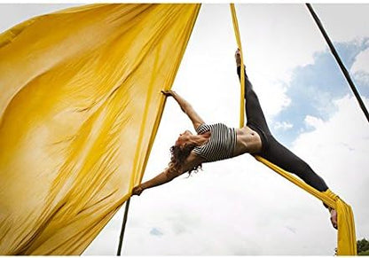 DASKING Aerial Silks Starter Kit - Durable 11Yards of Aerial Yoga Hammock with Hardware, Aerial Swing for Acrobatic Flying Yoga & All Levels (Aerial Rigging Point Up to 14ft)