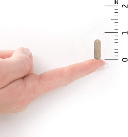 Garden of Life Vitamin Code Raw One for Men, Once Daily Multivitamin, 75 Capsules, One a Day Mens Vitamins Plus Fruit, Veggies & Probiotics for Mens Health, Vegetarian Multivitamins