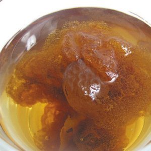 Greenhilltea, Malva Nut Dried Sterculia Lychnophora, Dried Pangdahai胖大海, Caffeine free .NO GMO, NO Additives, Selected,shipping from USA, packaged in foil zip lock bag 3.5 OZ