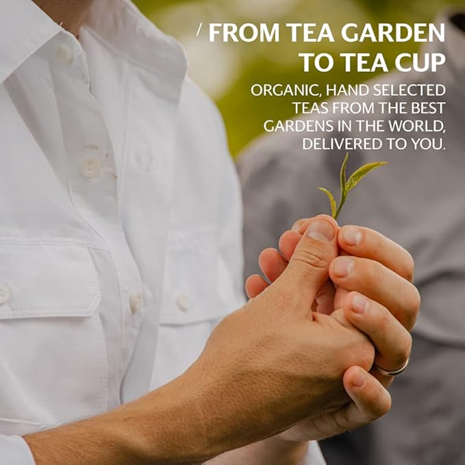 Grace Farms SHINE Wellness Organic Tea Blend (16 Pyramid Sachets) | Hydrating Tea For Skin and Detox | Rooibos, Rosehips, Hibiscus, Tulsi, and Haritaki | Fairtrade and Kosher | Gives Back 100% of Profits