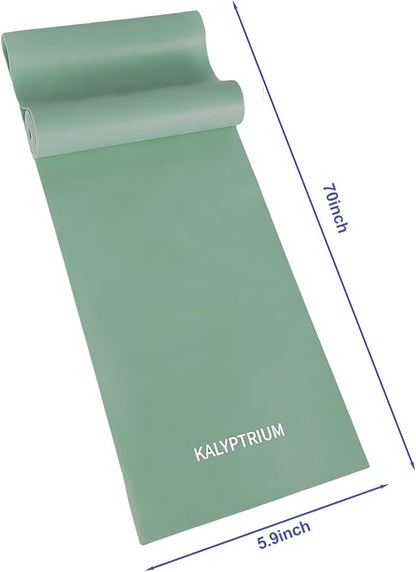 Workout Resistance Bands - Natural Latex Exercise Bands for Physical Therapy, Stretching, Yoga, Pilates, Strength Training & Home/Gym Fitness