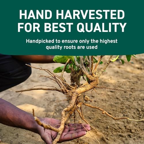 HANDPICK Ashwagandha Root Powder (397g/14oz) No Fillers, No Additives | Finest Grade A Root Powder - Withania Somnifera | Non-GMO & Raw from India