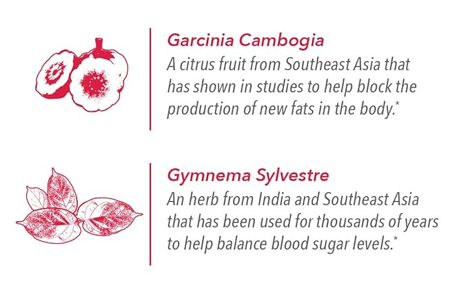 Javita Control Fruity (Acai, Pomegranate) Drink Mix Beverage with Slimming Herbs (Garcinia Cambogia, Gymnema Sylvestre) to Help Support Healthy Lifestyle, Appetite (2 Boxes/48 sticks)