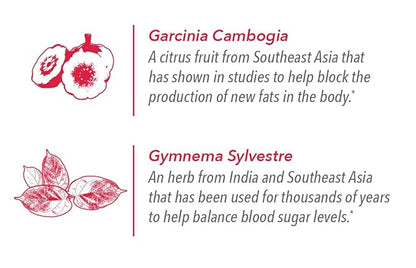 Javita Control Fruity (Acai, Pomegranate) Drink Mix Beverage with Slimming Herbs (Garcinia Cambogia, Gymnema Sylvestre) to Help Support Healthy Lifestyle, Appetite (2 Boxes/48 sticks)