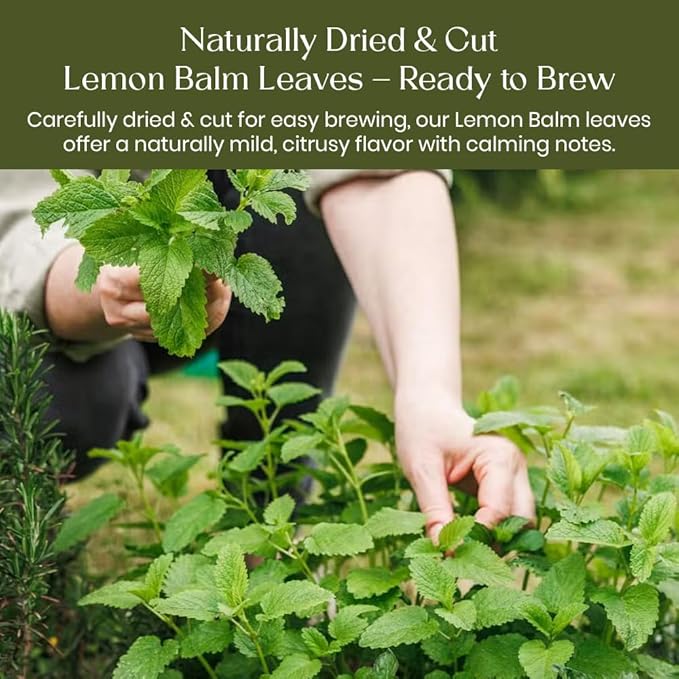 BlendArt Lemon Balm Tea Bags – 100 Count | Caffeine-Free Herbal Tea with Citrus Flavor & Aroma | Pure Lemon Balm Leaves