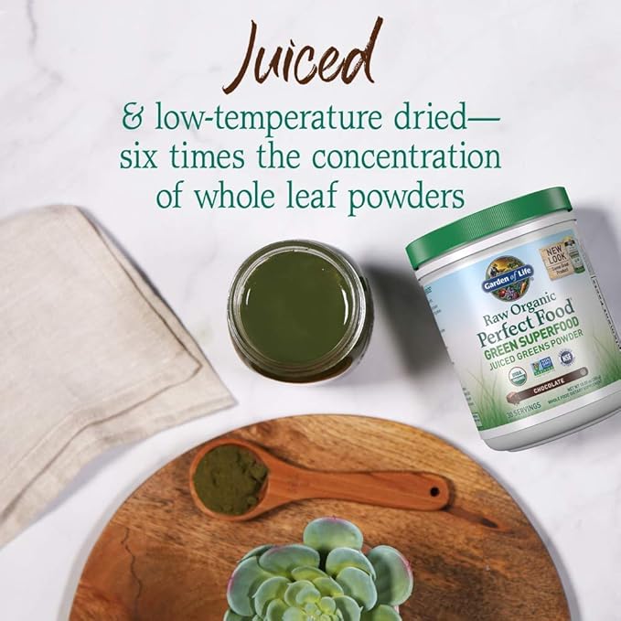 Garden of Life Raw Organic Perfect Food Green Superfood Juiced Greens Powder - Chocolate, 30 Servings - Non-GMO, Gluten Free, Vegan Whole Food Dietary Supplement, Plus Probiotics & Enzymes