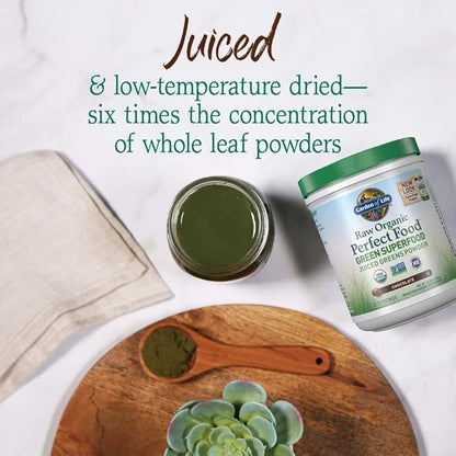 Garden of Life Raw Organic Perfect Food Green Superfood Juiced Greens Powder - Chocolate, 30 Servings - Non-GMO, Gluten Free, Vegan Whole Food Dietary Supplement, Plus Probiotics & Enzymes