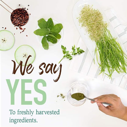 Garden of Life Raw Organic Perfect Food Green Superfood Juiced Greens Powder - Chocolate, 30 Servings - Non-GMO, Gluten Free, Vegan Whole Food Dietary Supplement, Plus Probiotics & Enzymes