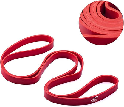 Fit Simplify Pull Up Assist Resistance Bands for Fitness, Physical Therapy, Stretching, Mobility and Exercise