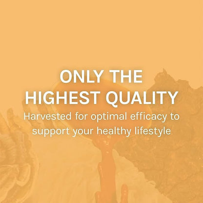 Host Defense Mesima Capsules - Herbal Antioxidant Activity & Immune System Support Supplement - Mushroom Supplement to Support Balanced Immune Response - 60 Capsules (30 Servings)*