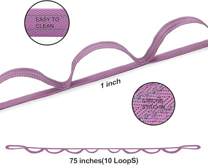 Premium Durable Stretch Straps with Loops, Stretching Strap for Physical Therapy, Multi-Loop Yoga Strap Fitness Exercise Strap for Yoga, Pilates, Dance, Flexibility&Exercise
