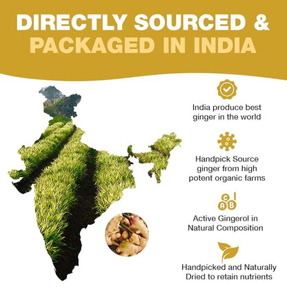 HANDPICK, Ginger Tea Bags, Caffeine Free & 100% Pure Ginger Root | Soothing & Spicy Blend | Round Eco Conscious Teabags
