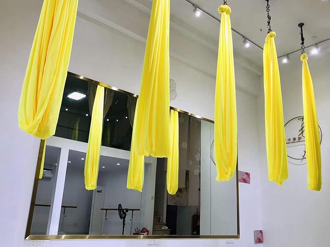 F.Life Aerial Silk Yoga Hammock & Swing for yoga Inversion,Strength training,starter hardware kit