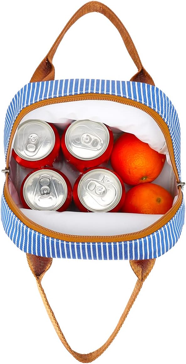 FlowFly Insulated Lunch Cooler Bag - Tote Bag Organizer for Women/Men, Royal