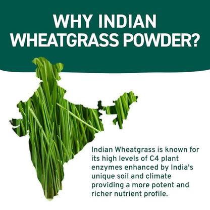 HANDPICK USDA Organic Wheatgrass Powder (10oz) Rich Green Powder - Lab Tested | 100% Whole Leaf | Gluten Free, Non-GMO | No Sugar, No Artificial Ingredients | Resealable Ziplock Pouch