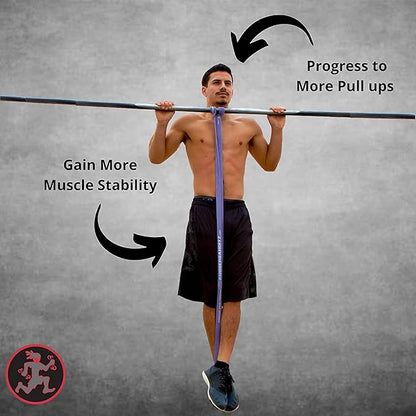 Functional Fitness Pull Up Assist Resistance Bands | Heavy Duty Exercise Bands for Powerlifting, Mobility, and Stretching | Travel Friendly Resistance Bands for Workout