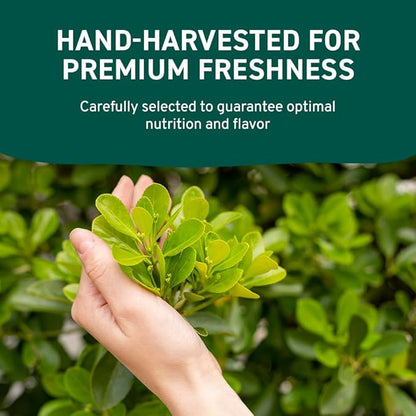 HANDPICK USDA Organic Moringa Powder (397g/14oz) Pure Moringa Oleifera Leaf Powder | Authentic Indian Origin | Gluten Free, Non-GMO | Perfect for Smoothies, Drinks, Tea & Recipes