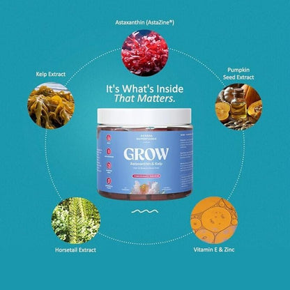 Grow Hair & Beauty Gummies, Supplement with Zinc, Vitamin E, Astaxanthin, Kelp, & Pumpkin Seed, Plant Based Gummies for Women & Men, Gluten Free, Vegan, American Made, 60 Count