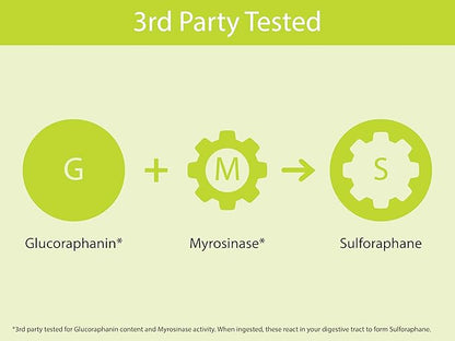 KOYAH Organic Broccoli Sprout Capsules – Freeze-Dried Whole Broccoli Sprouts – 3rd Party Tested for Active Myrosinase & Glucoraphanin (Sulforaphane Glucosinolate) - 150 Capsules