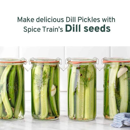 HANDPICK Dill Seeds (397g/14oz) Non GMO, Gluten Free, 100% Raw, Sourced from India, For Cooking, Drinks, Packed in Resealable Ziplock Pouch | For Pickling