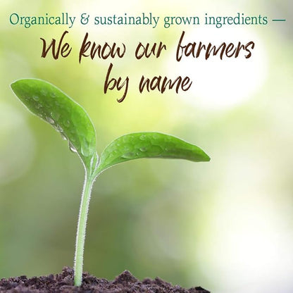 Garden of Life Raw Organic Perfect Food Green Superfood Juiced Greens Powder - Chocolate, 30 Servings - Non-GMO, Gluten Free, Vegan Whole Food Dietary Supplement, Plus Probiotics & Enzymes