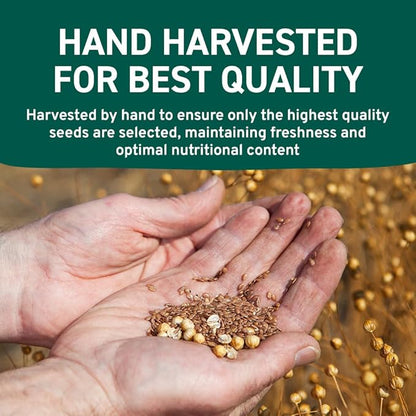 HANDPICK Flax Seed (2 lb) | Gluten Free Brown Seeds | Raw Seeds Sourced from India | Grinds easily, Gels perfectly | Resealable Zip Lock Pouch