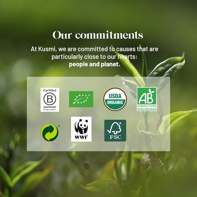 Kusmi Tea - BB Detox - Iconic Detox Tea - 100% Organic - Blend of Green Tea, Mate & Grapefruit - Organic Flavored Yerba Mate Tea - Loose Leaf - Tin Box of 3.5 oz - Quantity for about 50 cups