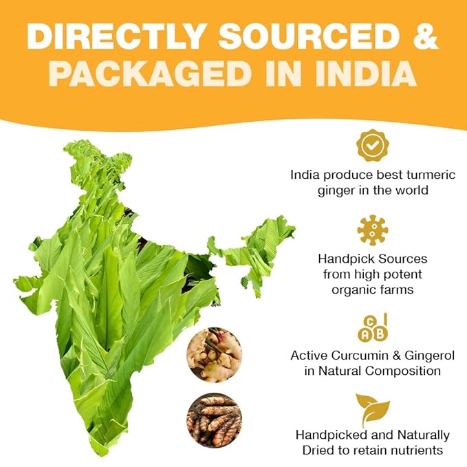 HANDPICK, Organic Turmeric Ginger Tea, 100 Eco-Conscious Tea Bags | Caffeine Free, Gluten Free, Non-GMO | 100% Pure Herbal Blend - Savory & Spicy