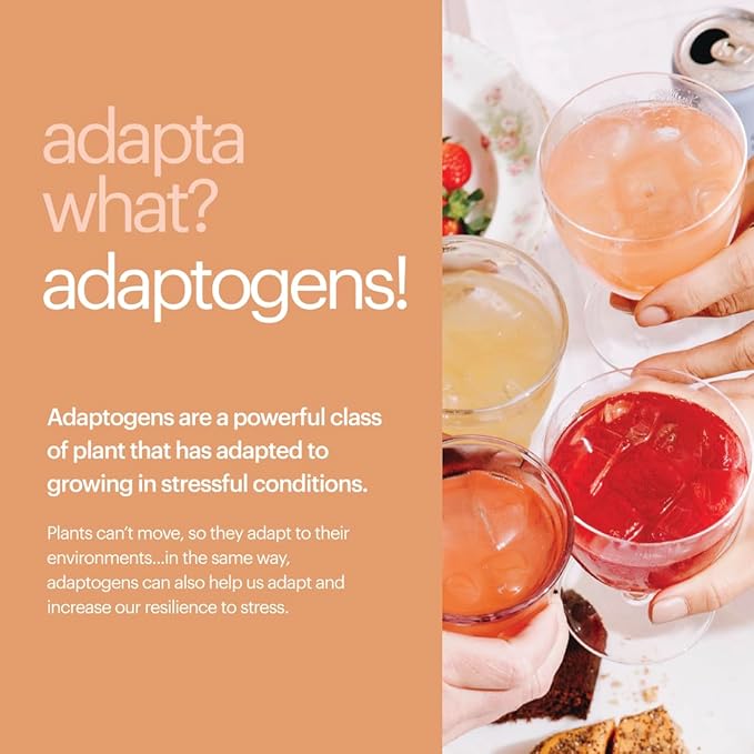 Heywell Sparkling Adaptogenic Water, Variety Pack 12 Fluid Ounce (Pack of 12) Includes - Lime, Grapefruit, Orange Mango, Strawberry Lemon - Calm Drink, Sparkling Drink