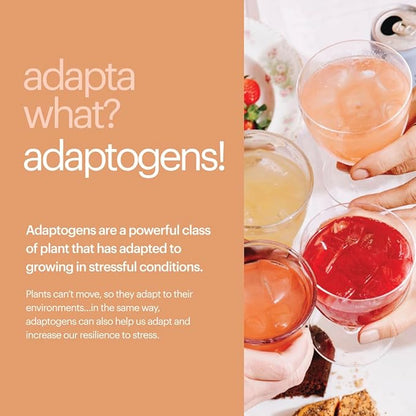 Heywell Sparkling Adaptogenic Water, Variety Pack 12 Fluid Ounce (Pack of 12) Includes - Lime, Grapefruit, Orange Mango, Strawberry Lemon - Calm Drink, Sparkling Drink