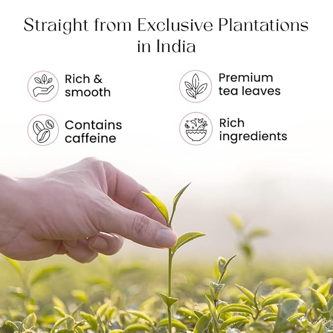 Blendart Blossom Blush Rose White Tea Bags Delicate Caffeinated Tea Made from Fresh Leaves. Natural Premium White Tea Bags -50 Pyramid Tea Bags