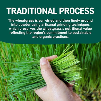 HANDPICK USDA Organic Wheatgrass Powder (10oz) Rich Green Powder - Lab Tested | 100% Whole Leaf | Gluten Free, Non-GMO | No Sugar, No Artificial Ingredients | Resealable Ziplock Pouch