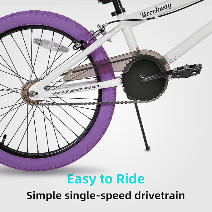 JOYSTAR Brockway Freestyle Kids BMX Bikes 20" 24" Kids Bicycles for 6-14 Years Old Boys Girls and Beginner-Level Riders 2 Pegs Multiple Colors