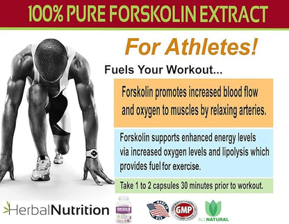 Forskolin for Weight Loss, 250mg-500mg Max Strength Forskolin Two Pack 90 Count Bottles, 20% Extract of Pure Forskolin, Ideal Diet and Athletes Formula!