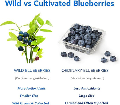 100% Pure Wild Blueberry Powder | Rich in Antioxidants | Made with Canada Grade-A Wild Crafted Blueberries, Perfect for Smoothies, Snacks & Baking (8 oz)