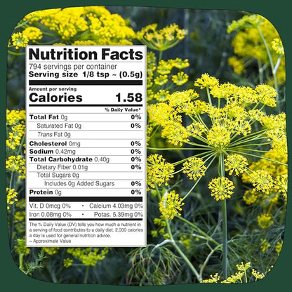 Fennel Seeds (397g/14oz) Tested for Quality | Raw Fennel Seed | Perfect for Cooking, Teas, Smoothies & Lattes | Bulk Whole Seeds in Resealable Zip Lock Pouch
