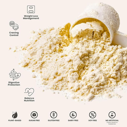 310 Nutrition All-In-One Meal Replacement Shake Powder - Plant-Based Protein Smoothie Blend w/High Fiber, Probiotics & Adaptogens - Low Carb, Vegan, Keto & Paleo Friendly - Caramel Sundae - 28 Srv