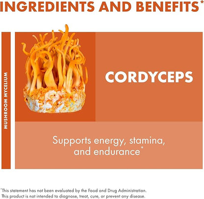 Host Defense Cordyceps Capsules - Immune & Energy Support Supplement - Kidney Health Supplement with Cordyceps - Fitness Support Supplement to Aid Oxygen Uptake - 60 Capsules (30 Servings)*