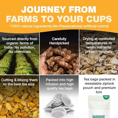HANDPICK, Organic Turmeric Ginger Tea, 100 Eco-Conscious Tea Bags | Caffeine Free, Gluten Free, Non-GMO | 100% Pure Herbal Blend - Savory & Spicy