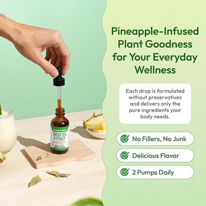 Green Tea 10:1 Extract 50% EGCG - Green Tea Liquid Drops - Vegan, 4X More Powerful Than Pills & Capsules - 2oz Antioxidant & Immune Supplement - Skin, Heart Support, Brain Health & Memory Boost